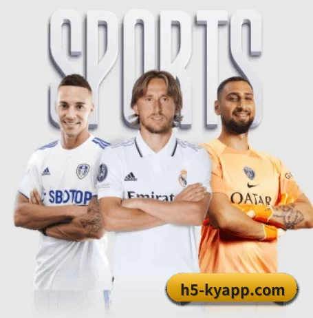 开云体育 APP 界面 - KAIYUN SPORTS